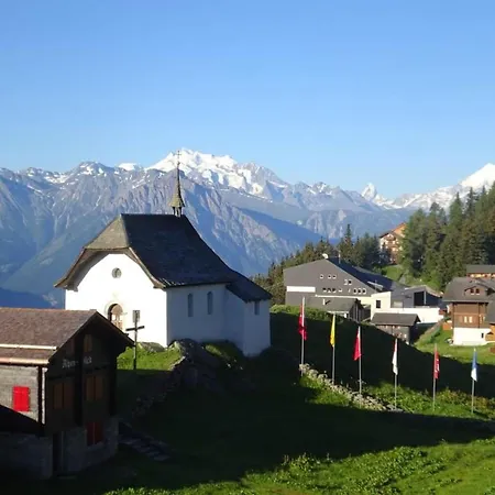 Appartamento Robert Eg Sued Appartement-fewo- Dusche Oder Bad- Wc By Interhome Bettmeralp